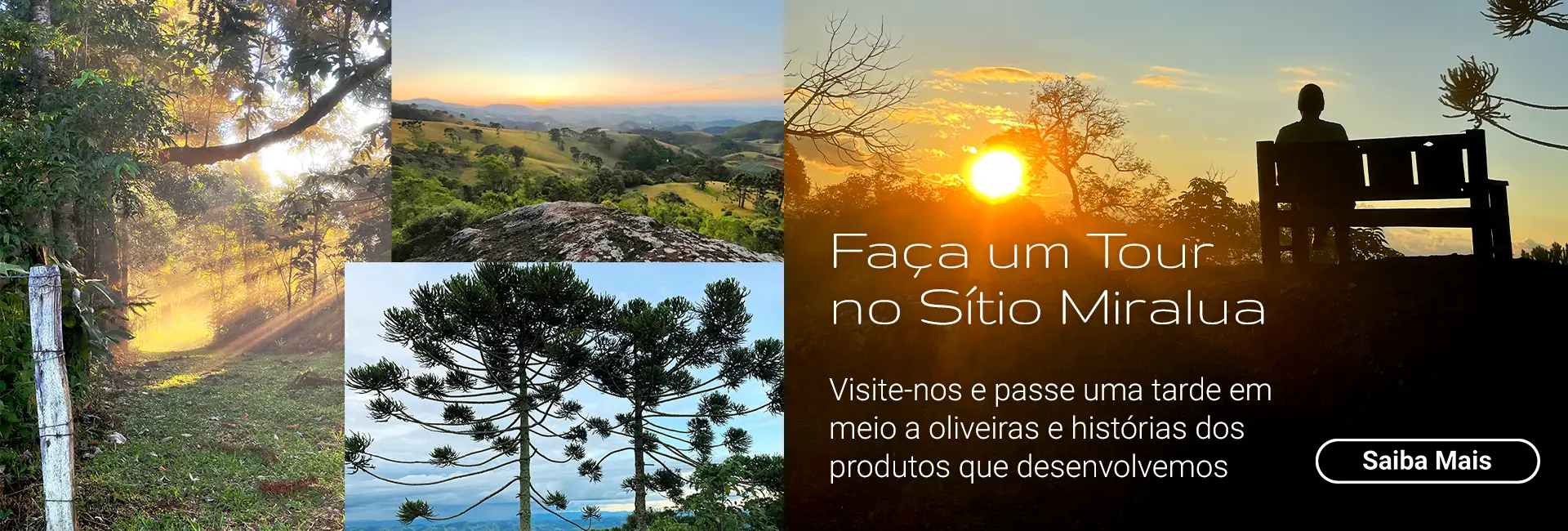Tour S&iacute;tio Miralua 