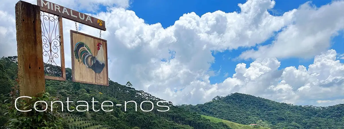 Contato