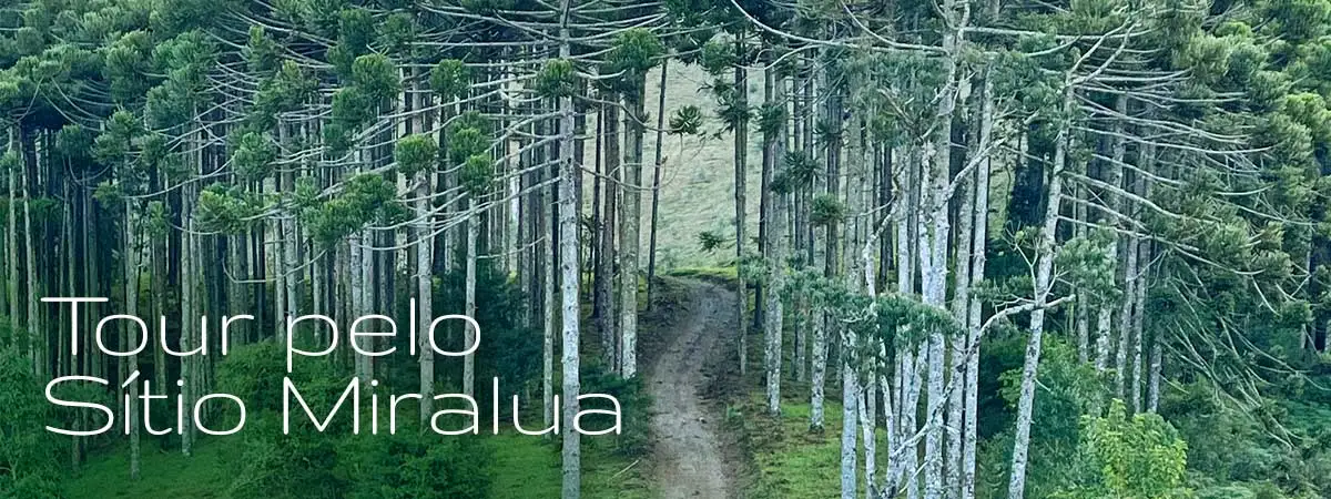 Tour S�tio Miralua